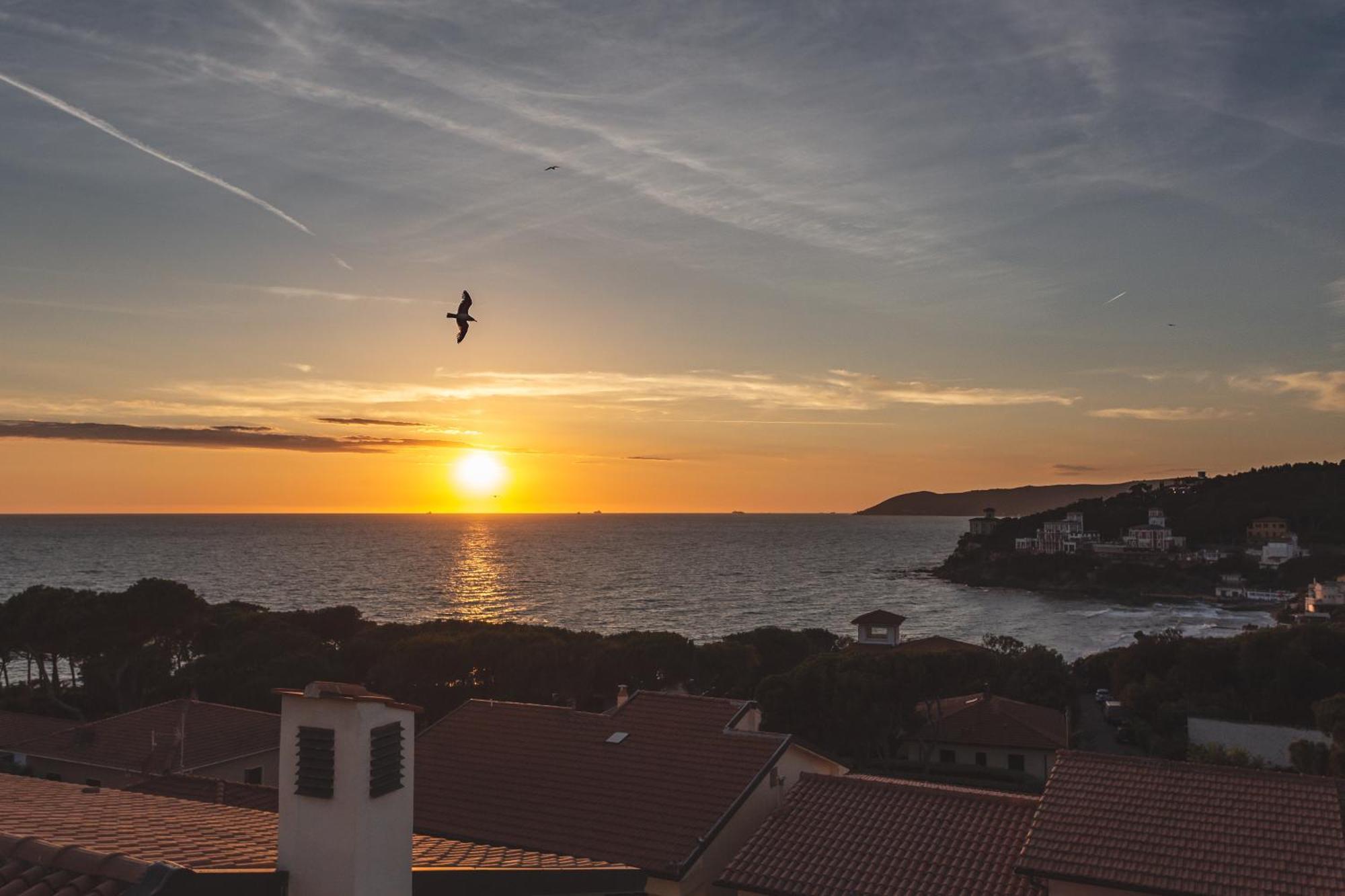 Villa Martini Castiglioncello Εξωτερικό φωτογραφία